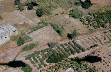An aerial view of a farm

Description automatically generated