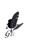 A black feather on a black background

AI-generated content may be incorrect.